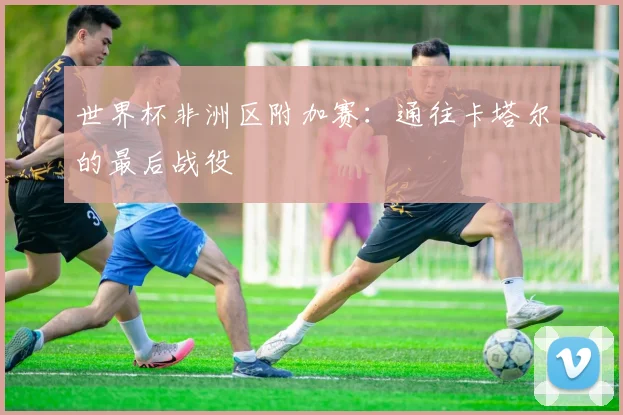 世界杯非洲区附加赛:通往卡塔尔的最后战役