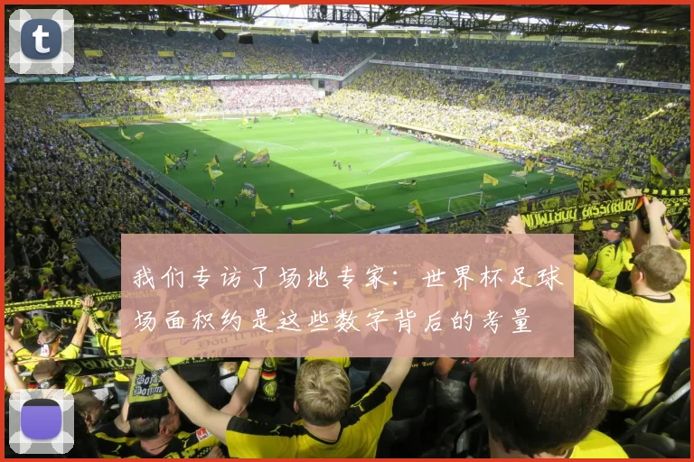 我们专访了场地专家:世界杯足球场面积约是这些数字背后的考量