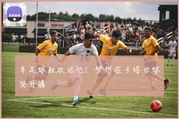 年足球狂欢记忆:梦想在卡塔尔球场升腾