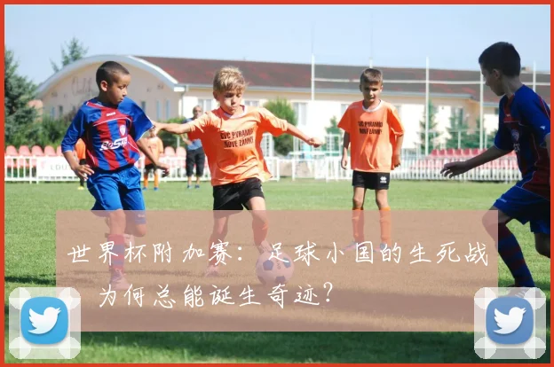 世界杯附加赛:足球小国的生死战,为何总能诞生奇迹?