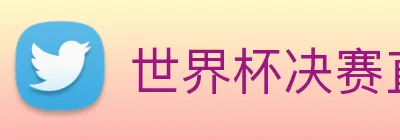 世界杯决赛直播入口 logo